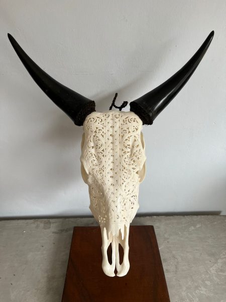 Die Bali Skulls von Skullartwork wurden traditionell auf Bali hergestellt. Dieser Kuhkopf ist eine außergewöhnliche Deko oder Wanddeko.
