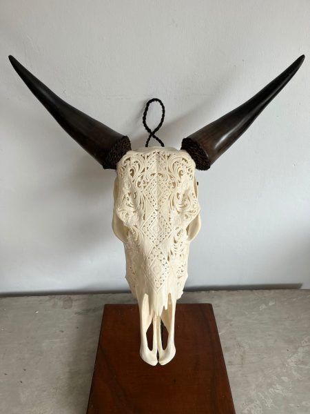 Der Bali Skull von Skullartwork wurde traditionell hergestellt. Dieser Kuhschädel ist eine außergewöhnliche Deko oder Wanddeko.