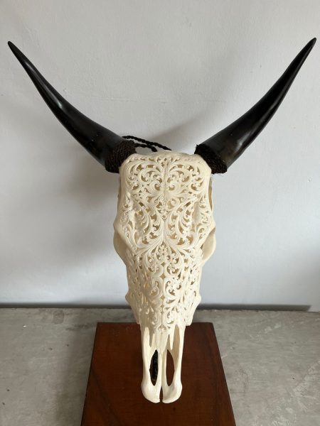 Skullartwork, handgefertigte Schnitzkunst. Der Bali Skull Kuhkopf wurde traditionell hergestellt auf Bali und ist eine individuelle Deko oder Wanddeko.