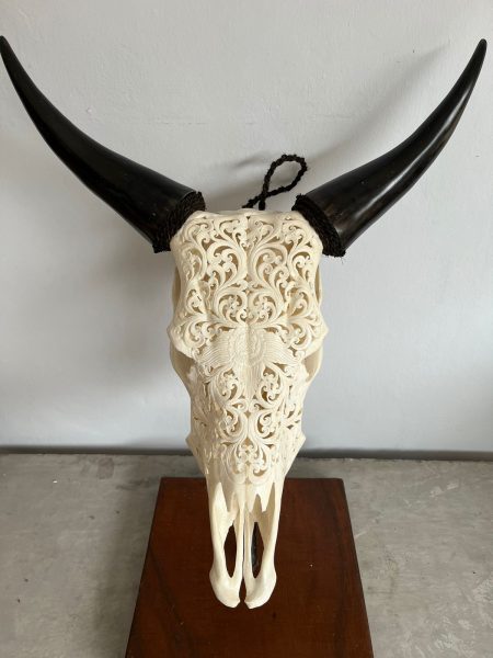 Handgefertigte Schnitzkunst. Der Bali Skull Kuhschädel wurde traditionell hergestellt auf Bali. Individuelle Deko oder Wanddeko.
