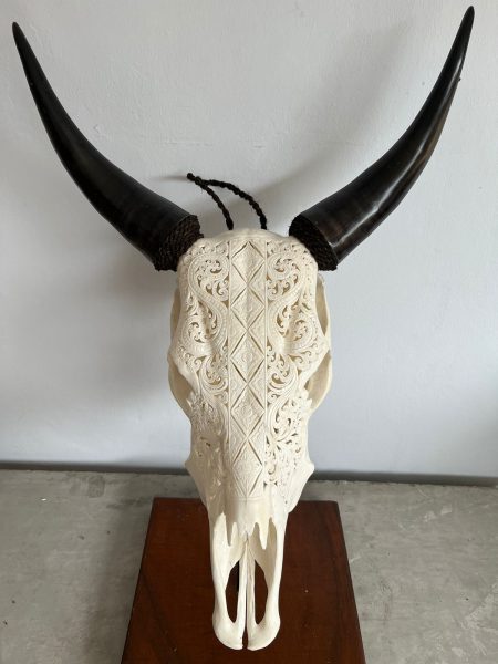 Schnitzkunst aus Bali. Der Bali Skull von Skullartwork wurde traditionell hergestellt. Dieser Kuhschädel ist eine außergewöhnliche Deko oder Wanddeko.