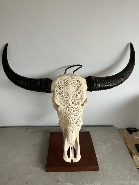 Bali Skull Wasserbüffekopf. Traditionell hergestellt auf Bali. Individuelle Deko.