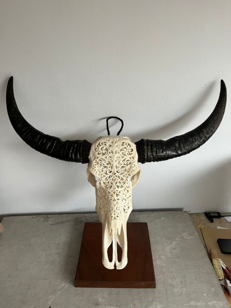 Bali Skull Wasserbüffelschädel. Handgefertigte Schnitzkunst, traditionell hergestellt auf Bali, jedes Stück ist ein Unikat.