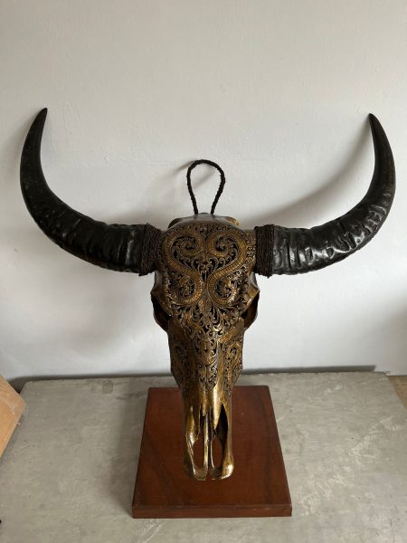 Bali Skull Wasserbüffekopf gold. Handgefertigte Schnitzkunst, traditionell gefertigt auf Bali, jedes Stück ist individuell und ein Unikat.
