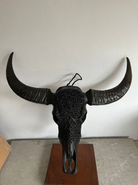 Skullartwork Wasserbüffelschädel schwarz. Handgefertigte Schnitzkunst, traditionell hergestellt auf Bali, jedes Stück ist ein Unikat und dient als Deko.