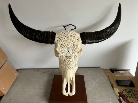 Skullartwork Wasserbüffelschädel. Handgefertigte Schnitzkunst, traditionell hergestellt auf Bali. Jeder Bali Skull ist ein Unikat.