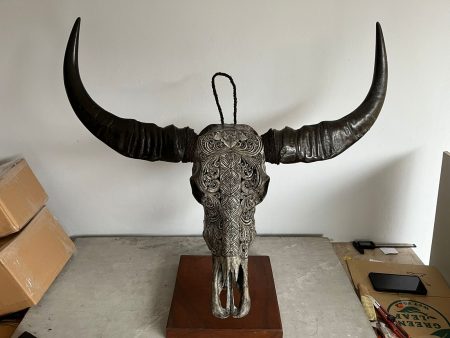 Skullartwork Wasserbüffelschädel silber. Handgefertigte Schnitzkunst, traditionell hergestellt auf Bali, jedes Stück ist ein Unikat.