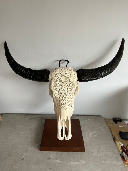 Skullartwork Wasserbüffelkopf. Handgefertigte Schnitzkunst, traditionell hergestellt auf Bali, ein Unikat als Deko.