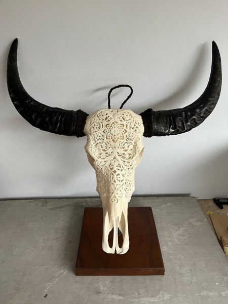 Skullartwork Wasserbüffelschädel. Handgefertigte Schnitzkunst, traditionell hergestellt auf Bali, jedes Stück ist ein Unikat.