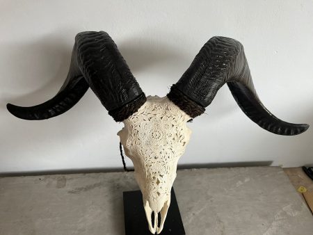 Skullartwork Widderschädel. Handgefertigte Kunst, traditionell hergestellt auf Bali, ein Unikat als Deko.