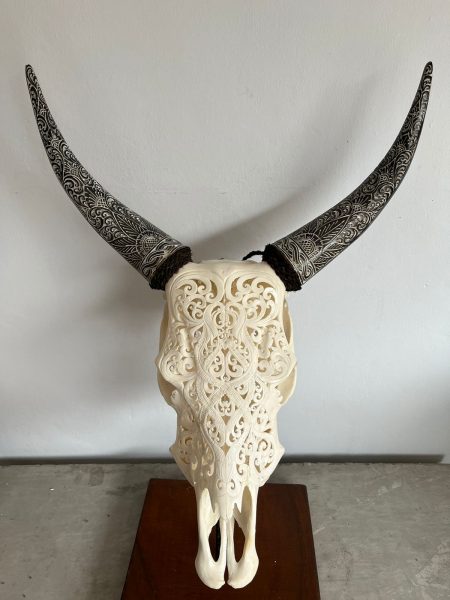 Bali Skull Kuhkopf mit gravierten Hörnern