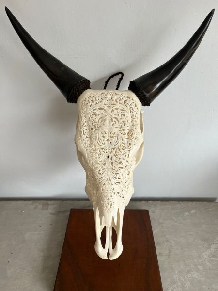 Skullartwork Kuhschädel. Handgefertigter Kopf, traditionell hergestellt auf Bali, ein Unikat als Deko.