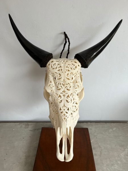 Bali Skull Wasserbüffel Kopf. Handgefertigter Schädel, traditionell hergestellt auf Bali, ein Unikat als Deko.