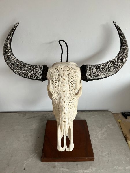 Bali Skull Wasserbüffel Kopf klassisch. Handgefertigter Schädel mit gravierten Hörnern. Traditionell hergestellt auf Bali, ein Unikat als Deko.