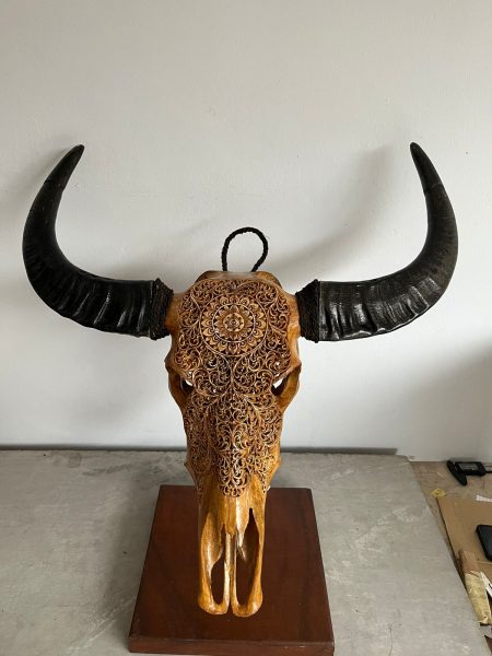 Bali Skull in gold. Wasserbüffelkopf mit Gravur. Schädel wurde traditionell hergestellt auf Bali und ist ein Unikat.