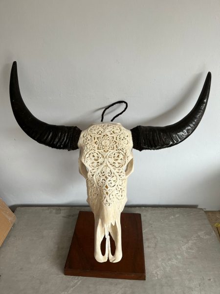 Bali Skull von Skullartwork. Wasserbüffel Kopf gravierter Schädel, traditionell hergestellt auf Bali ein Unikat als Wand Deko.