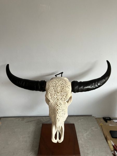 Wasserbüffelkopf Bali Skull gravierter Kopf traditionell hergestellt auf Bali.