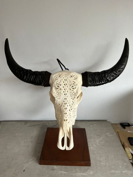 Bali Skull Wasserbüffelschädel gravierter Schädel traditionell hergestellt auf Bali. Ein Unikat als Wanddeko.