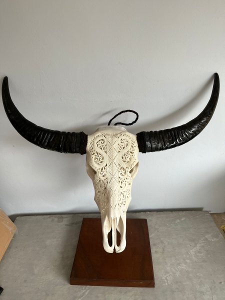 Bali Skull Wasserbüffel Kopf gravierter Schädel traditionell hergestellt auf Bali. Ein Unikat als Deko.